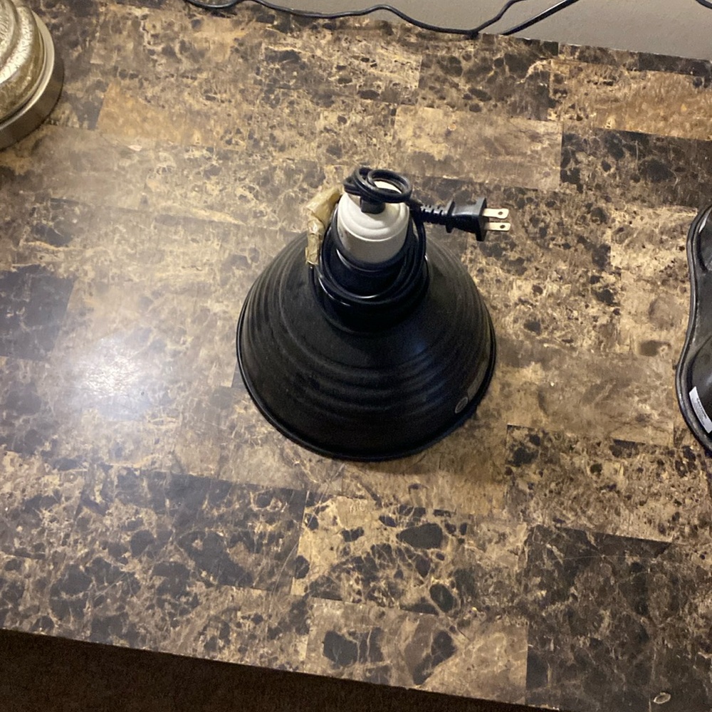A single reptile light